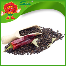 High quality dried black pepper